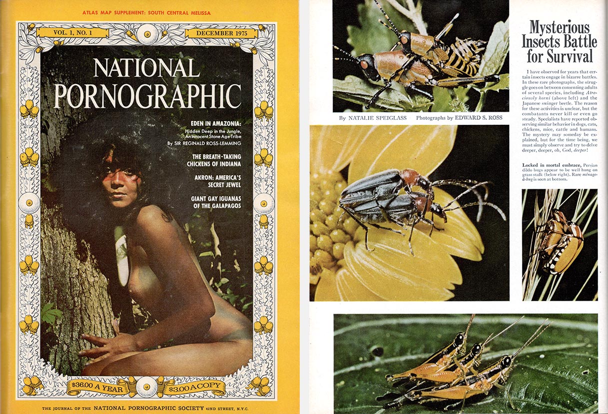 Playboy's National Pornographic